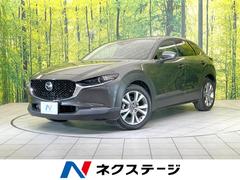 �ޥĥ����ãءݣ������أġ��̥ѥå��������ر�֡�������