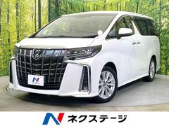 �ȥ西������ե����ɡ��������ӡ�ξ¦��ư�ɥ��������ӣĥʥӡ��Хå������