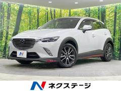 �ޥĥ����ãءݣ����أġ��ġ���󥰡��ޥĥ����ͥ��ȥʥӡ��Хå������