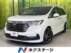 �ۥ�������ǥå����ϥ��֥�åɡ��塧�ȣţ֥��֥��롼�ȡ��ţء��ر�֡������������ʥ�