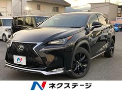 �쥯�������Σء��Σأ����������ƥ��ݡ��ġ�����롼�ա������ӣĥʥ�