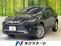 �ȥ西���ϥꥢ���ϥ��֥�åɡ��ڡ�����롼�ա������եƥ����󥹡����������������ʥ�