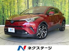 �ȥ西���áݣȣҡ��ǡ��ر�֡����������ʥӡ��Хå������
