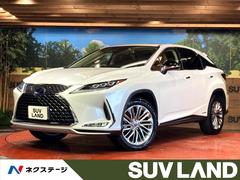 �쥯�������ңء��ңأ������衡�С������̡�����롼�ա����������������ʥ�