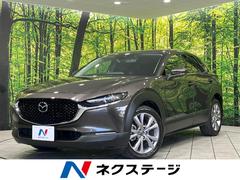 �ޥĥ����ãءݣ������أġ��ץ������ƥ��֡��ġ���󥰥��쥯����󡡣��ף�