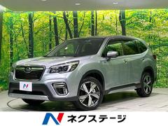 ���Х롡�ե��쥹���������ɥХ󥹡����ףġ��ӣĥʥӡ������ɥ����