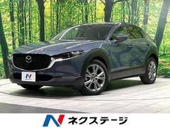 �ޥĥ����ãءݣ����������ӡ��ץ������ƥ��֡��ġ���󥰥��쥯����󡡽������������ޥĥ����ͥ��ȥʥ�