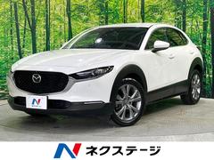 �ޥĥ����ãءݣ������أġ��̥ѥå������������ϥ���顡�£ϣӣť������