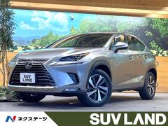 �쥯�������Σء��Σأ������衡�С������̡�����롼�ա���������������᡼�����ʥ�