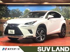 �쥯�������Σء��Σأ������衡�ɥѥå��������Хå�����顡�����ﳲ�ڸ������ƥ�