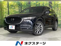 �ޥĥ����ãءݣ����أġ����������롼���֥⡼�ɡ������ӣĥʥӡ������ϥ����