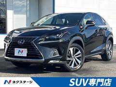 �쥯�������Σء��Σأ������衡�С������̡����ͷڸ����֡��ر��