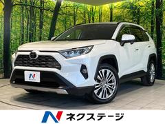 �ȥ西���ң��֣����ǡ����ףġ�������������ʥӡ��Хå������
