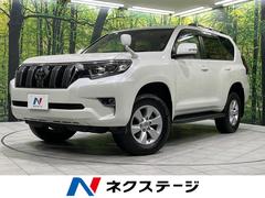 �ȥ西�����ɥ��롼�����ץ�ɡ��ԣء��̥ѥå����������ףġ�����롼��