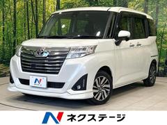 �ȥ西���롼�ߡ�����������ǡ��ӡ��ʥӡ��Хå������