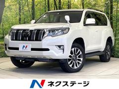 �ȥ西�����ɥ��롼�����ץ�ɡ��ԣء��̥ѥå��������ر�֡����;��