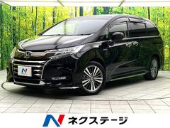 �ۥ�������ǥå����ϥ��֥�åɡ��ϥ��֥�åɥ��֥��롼�ȡ��ۥ�����󥷥󥰡��ر�֡������ʥ�