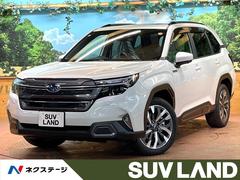 ���Х롡�ե��쥹�������ץ�ߥ���ӡ��ȣţ֡��ţء���Ͽ��̤���Ѽ֡����åȥ��ץ����ã�