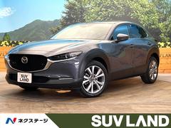 �ޥĥ����ãءݣ����������ӡ��ץ������ƥ��֡��ġ���󥰥��쥯����󡡶ر��