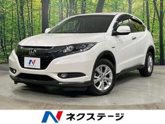 �ۥ�����������롡�ϥ��֥�åɣء��ر�֡��ӣĥʥӡ��Хå������