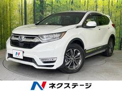 �ۥ�����ãҡݣ֥ϥ��֥�åɡ��塧�ȣţ֡��ţء��ޥ������ԡ���������롼��