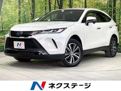 �ȥ西���ϥꥢ���ϥ��֥�åɡ��ǡ��ر�֡����������ʥӡ��Хå������