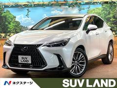 �쥯�������Σء��Σأ������衡�С������̡��ر졡�����������ʥ�