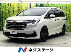 �ۥ�������ǥå����ϥ��֥�åɡ��塧�ȣţ֥��֥��롼�ȡ��ţء����ʥ�˥�������������������ʥ�
