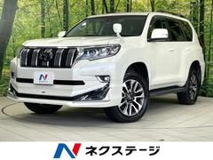 �ȥ西�����ɥ��롼�����ץ�ɡ��ԣء��̥ѥå��������ر�֡����;��
