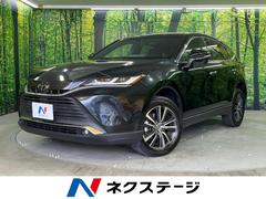 �ȥ西���ϥꥢ�����ǡ��ر�֡����������ǥ����ץ쥤���ʥӥ��å�
