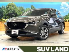 �ޥĥ����ãءݣ����������ӡ��ץ������ƥ��֡��ġ���󥰥��쥯����󡡶ر��