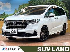 �ۥ�������ǥå����ϥ��֥�åɡ��塧�ȣţ֥��֥��롼�ȡ��ţء����ʥ�˥������������ʥ�