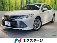 �ȥ西������ꡡ�ǥ쥶���ѥå���������ǥꥹ���ȥ�󥯥��ݥ��顼�������եƥ����󥹡��£ӣ�