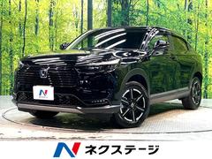 �ۥ�����������롡�塧�ȣţ֡��ء��ر�֡����ͷڸ������ƥ�