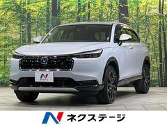 �ۥ�����������롡�塧�ȣţ֡��ڡ��᡼�������������ʥӡ������ϥ����