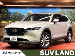 �ޥĥ����ãءݣ��������ӡ����;�ꡡ�Хå�����顡�����ﳲ�ڸ������ƥ�