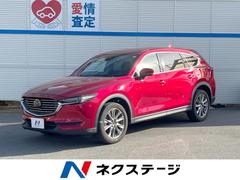 ＣＸ－８　ＸＤプロアクティブ　マツダコネクトナビ　アドバンスドスマートシティブレーキサポート　レーダークルーズコントロール　３６０°ビューモニター　ブライドスポットモニタリング　ＥＴＣ　ＬＥＤヘッドライト　純正１９インチアルミ（マツダ）