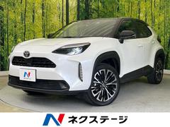 �ȥ西����ꥹ���������ڡ�������������ʥӡ������ϥ���顡�����եƥ�����
