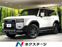�ȥ西�����ɥ��롼�������������֣ء�����롼�ա��᡼�����ʥӡ������ϥ����