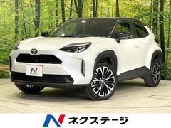 �ȥ西����ꥹ���������ڡ��ر�֡����������ʥӡ������ϥ����
