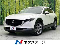 �ޥĥ����ãءݣ������أġ��ץ������ƥ��֡��ġ���󥰥��쥯����󡡥ǥ�������
