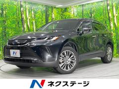 �ϥꥢ���ϥ��֥�å� �ڡ��쥶���ѥå�����