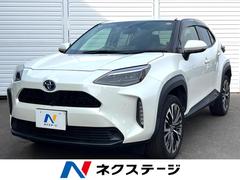 �ȥ西����ꥹ���������ϥ��֥�åɣڡ������ϥ���顡�����եƥ����󥹡��졼�������롼��