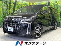 �ȥ西������ե����ɡ��������ӡ��åѥå�������ξ¦��ư�ɥ������ʥ�˥���