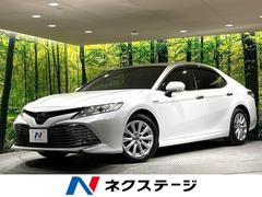 �ȥ西������ꡡ�ǡ������ӣĥʥӡ��Хå�����顡�����ﳲ�ڸ������ƥ�