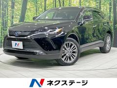 �ȥ西���ϥꥢ���ϥ��֥�åɡ��ڡ��ѥΥ�ޥ롼�ա������ϥ���顡�ʣ£̥������