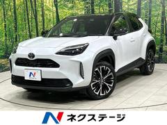 �ȥ西����ꥹ���������ڡ����ȡ��󥫥顼�����������ʥӡ������ϥ����