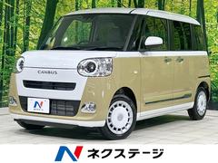 �����ϥġ��ࡼ�������Х������ȥ饤�ץ��ǡ��Ͻк�̤���Ѽ֡����������ǥ����ץ쥤���Хå������