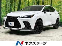 �쥯�������Σء��Σأ������衡�ƥ��ݡ��ġ�����롼�ա������������ʥ�