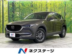 �ޥĥ����ãءݣ����أġ��ץ������ƥ��֡����ͷڸ��֥졼���������ϥ����